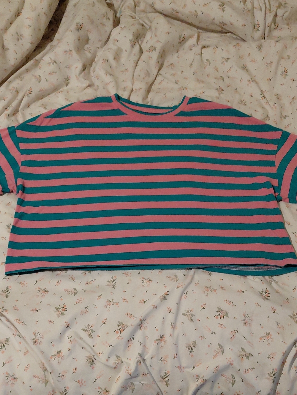 Striped Pink and Teal Crop Top - Women's Casual Tee